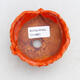 Ceramic shell 9 x 9 x 6 cm, color orange - 3/3