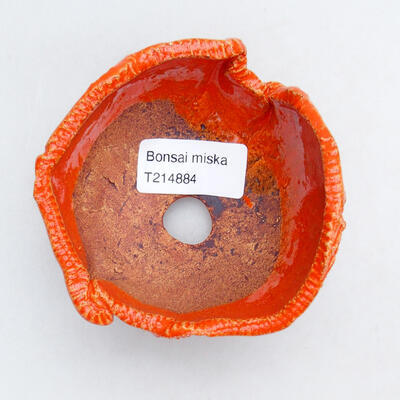 Ceramic shell 9 x 9 x 7 cm, color orange - 3