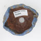 Ceramic Shell 9 x 8 x 5 cm, color blue - 3/3