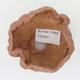 Ceramic Shell 8 x 7 x 6 cm, color pink - 3/3