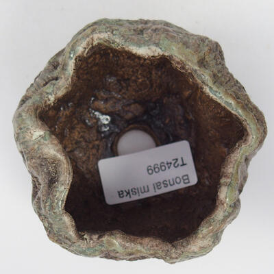 Ceramic Shell 8.5 x 8 x 6.5 cm, color green - 3