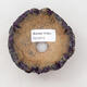 Ceramic shell 9 x 9 x 4.5 cm, color natural purple - 3/3