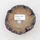 Ceramic shell 9.5 x 9 x 5 cm, color natural purple - 3/3