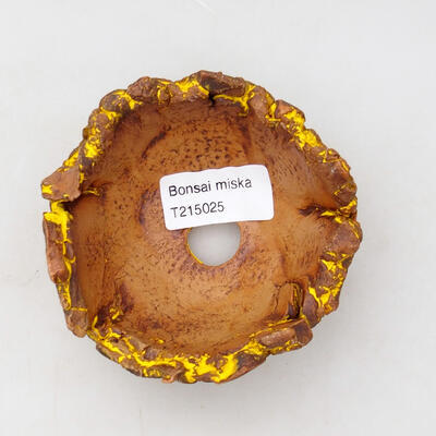 Ceramic shell 9.5 x 9 x 6 cm, color natural yellow - 3