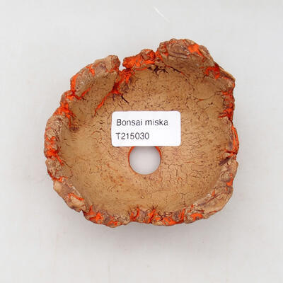 Ceramic Shell 10 x 9 x 6 cm, color natural orange - 3