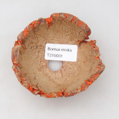 Ceramic Shell 10 x 9 x 5 cm, color natural orange - 3