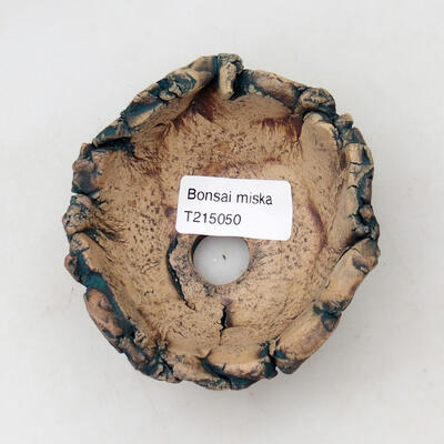 Ceramic shell 9 x 9 x 5 cm, color natural green - 3
