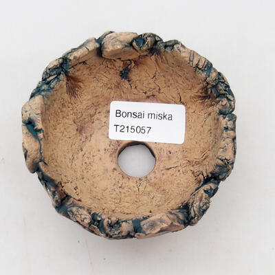 Ceramic shell 9.5 x 9 x 5 cm, color natural green - 3