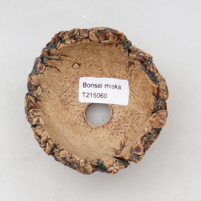 Ceramic shell 9.5 x 9.5 x 6 cm, color natural green - 3