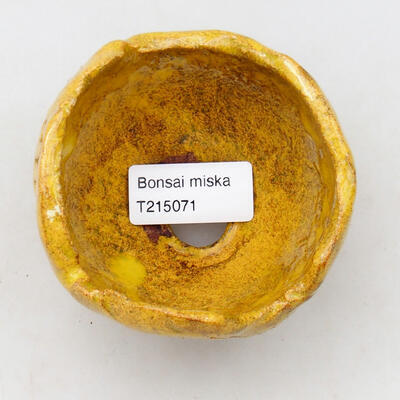 Ceramic shell 8.5 x 8.5 x 6.5 cm, color yellow - 3