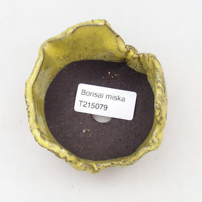 Ceramic shell 7.5 x 7.5 x 6 cm, color yellow - 3