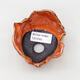 Ceramic shell 8.5 x 8 x 6 cm, color orange-white - 3/3