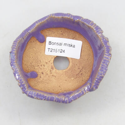 Ceramic shell 9.5 x 9 x 5 cm, color purple - 3