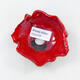 Ceramic shell 8.5 x 8 x 4.5 cm, color red - 3/3