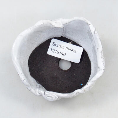 Ceramic Shell 9 x 8.5 x 5.5 cm, color white - 3
