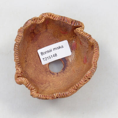 Ceramic shell 9.5 x 9 x 6 cm, natural color - 3