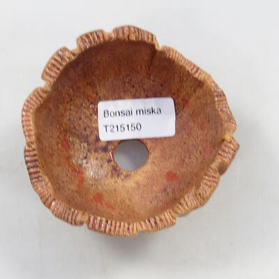 Ceramic shell 9.5 x 8 x 7 cm, natural color - 3