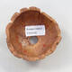 Ceramic shell 9.5 x 8 x 7 cm, natural color - 3/3