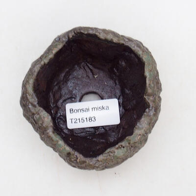 Ceramic Shell 9 x 8.5 x 6.5 cm, gray color - 3
