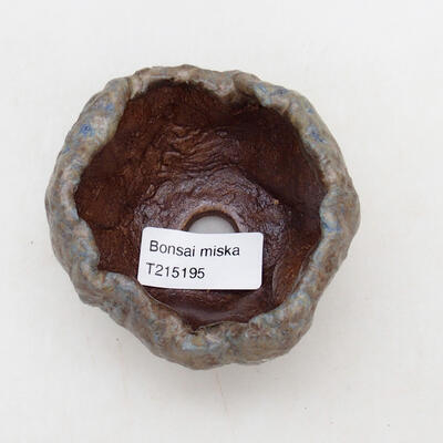 Ceramic Shell 8 x 8 x 6.5 cm, color blue - 3