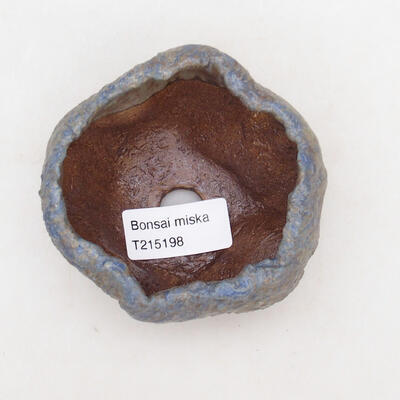 Ceramic Shell 8.5 x 8 x 6 cm, color blue - 3