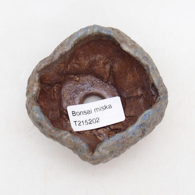 Ceramic Shell 8 x 8 x 6 cm, color blue - 3