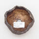Ceramic shell 9 x 8 x 6 cm, color brown - 3/3