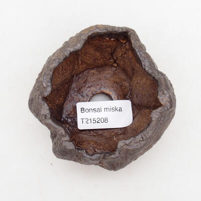 Ceramic shell 8 x 8 x 6 cm, color brown - 3