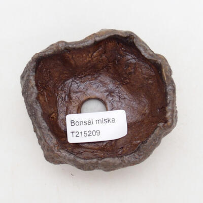 Ceramic shell 8 x 7.5 x 5.5 cm, color brown - 3