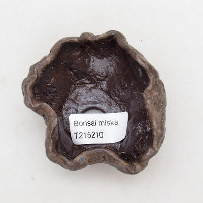 Ceramic shell 8 x 7.5 x 5 cm, color brown - 3