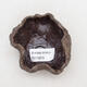 Ceramic shell 8 x 7.5 x 5 cm, color brown - 3/3