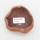 Ceramic shell 8.5 x 7 x 4.5 cm, color brown - 3/3