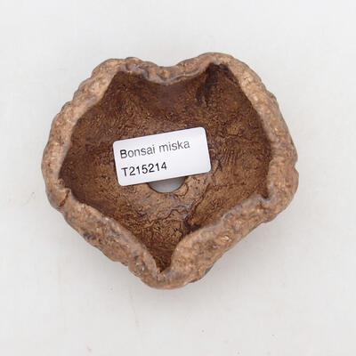 Ceramic shell 9 x 8 x 5.5 cm, color brown - 3