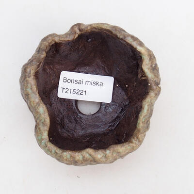 Ceramic shell 8.5 x 8 x 6.5 cm, color brown - 3
