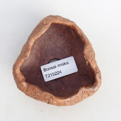 Ceramic shell 8.5 x 8 x 5.5 cm, color brown - 3