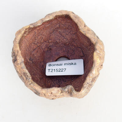 Ceramic shell 8 x 8 x 6.5 cm, color brown - 3