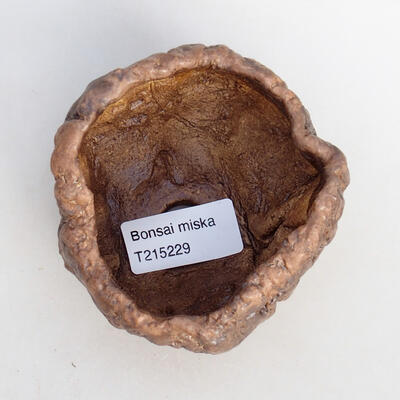 Ceramic shell 8 x 7.5 x 6 cm, color brown - 3