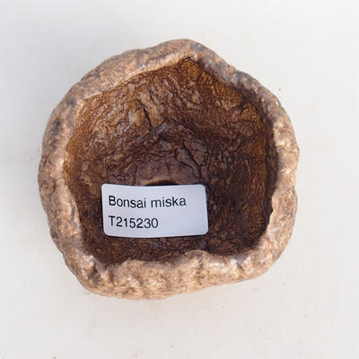 Ceramic shell 8 x 8 x 6 cm, color brown - 3