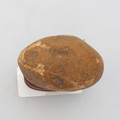 Suiseki - Stone with DAI (wooden mat) - 3