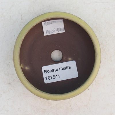Ceramic bowl bonsai - 3