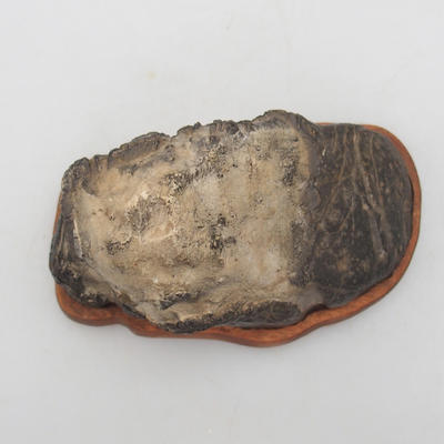 Suiseki - Stone with DAI (wooden mat) - 3