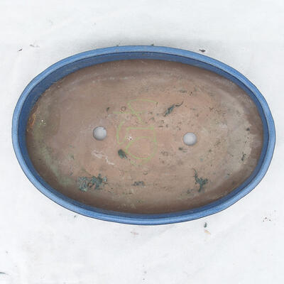 Bonsai bowl 36 x 25 x 6.5 cm, color blue - 3