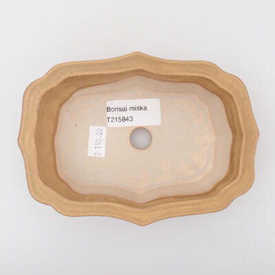 Ceramic bonsai bowl 14 x 10 x 4 cm, color beige - 3