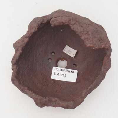 Ceramic shell 11.5 x 12 x 11.5 cm, color brown - 3
