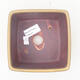 Ceramic bonsai bowl 12 x 12 x 8 cm, color brown - 3/3
