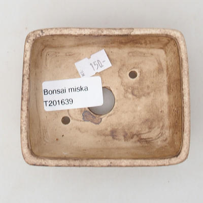 Ceramic bonsai bowl 9.5 x 8 x 3.5 cm, beige color - 3