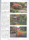 Bonsai and Japanese Gardens No.65 - 3/4