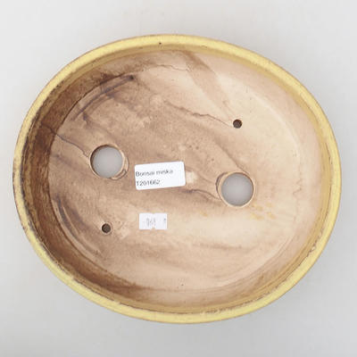 Ceramic bonsai bowl 22.5 x 19.5 x 5 cm, yellow color - 3
