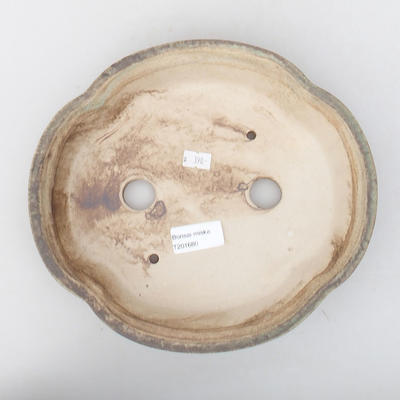 Ceramic bonsai bowl 24 x 21 x 4.5 cm, color yellow - 3