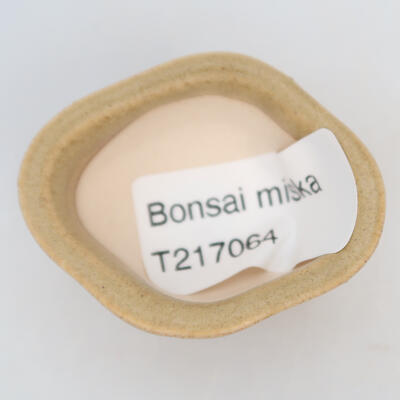 Ceramic bonsai bowl 5 x 4 x 2 cm, color beige - 3
